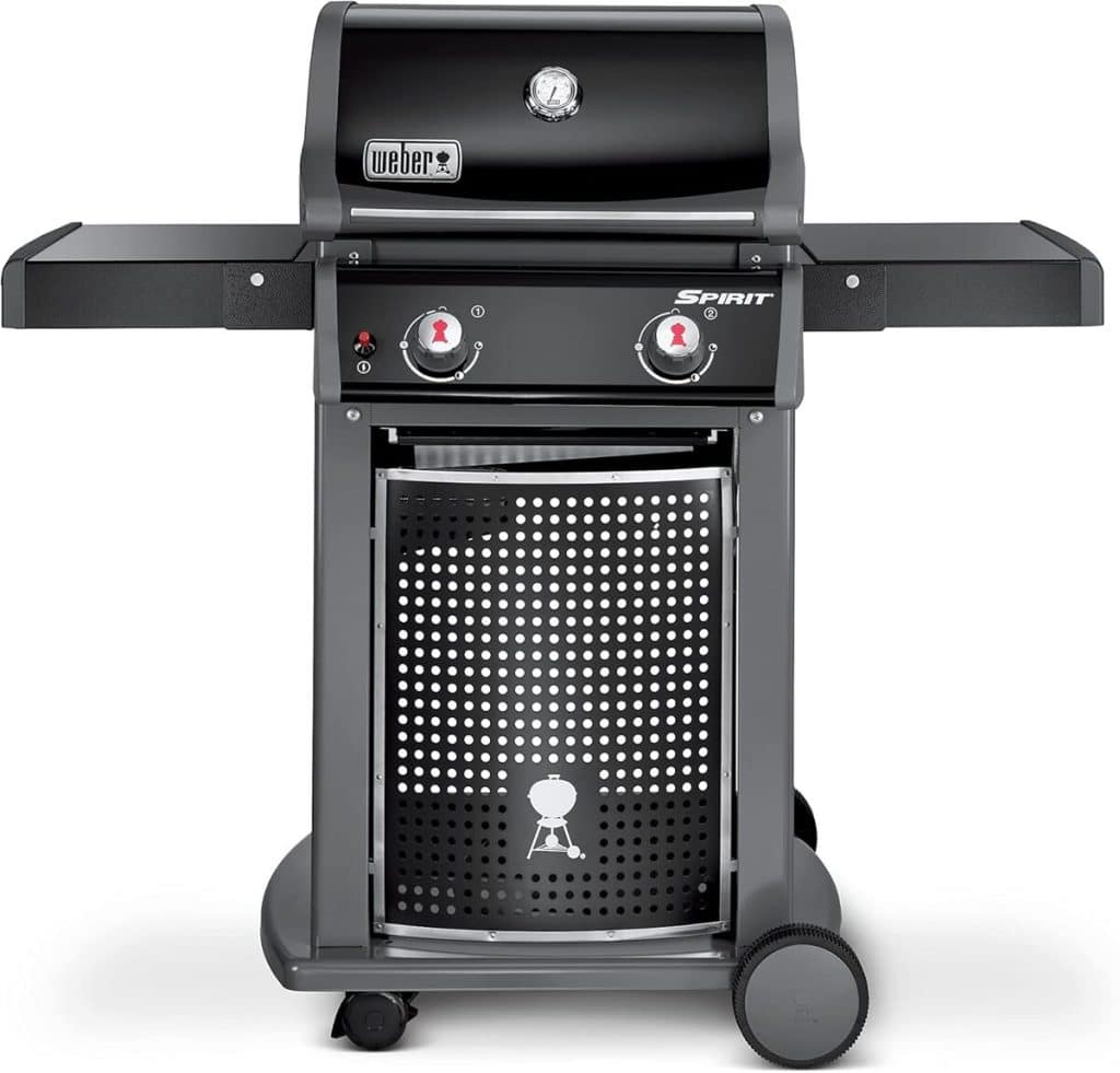Test du barbecue Weber Spirit E-210 : performance et praticité
