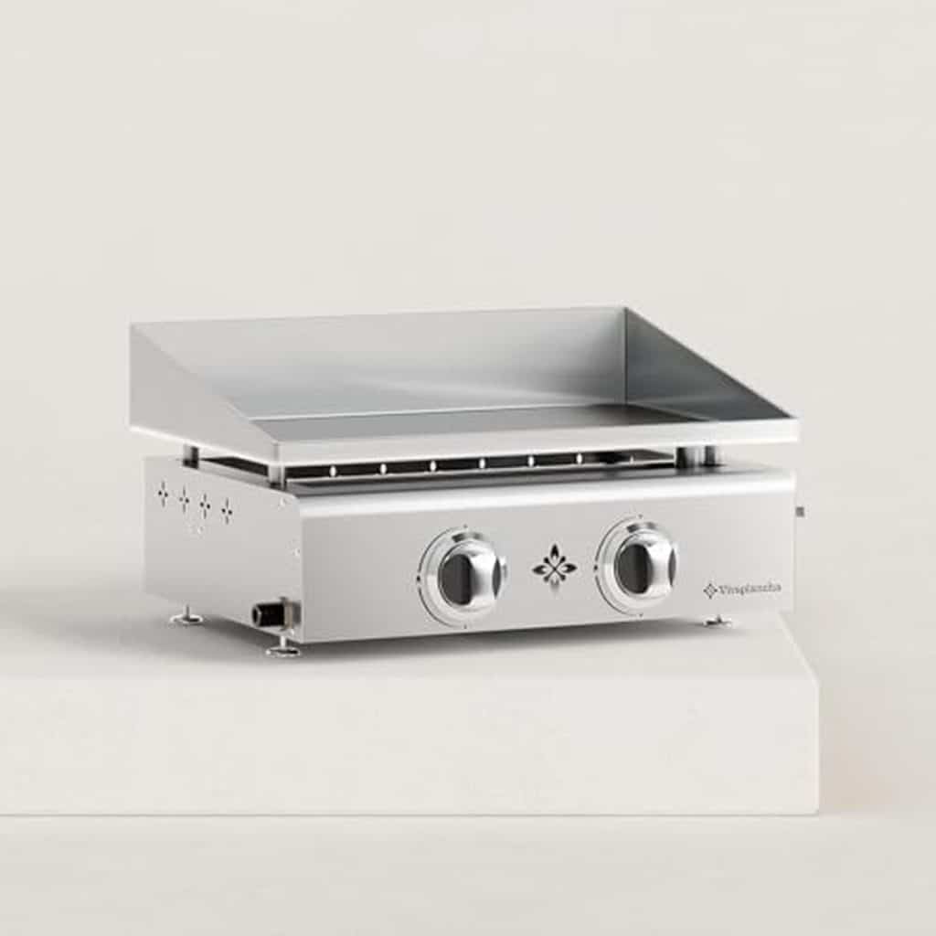 Test de la plancha gaz Flamenco 2 feux inox : efficacité et qualité