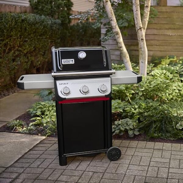 Découvrez notre analyse détaillée du barbecue à gaz Weber Spirit E-310 : test de puissance, uniformité de cuisson et fonctionnalités clés pour un été réussi.